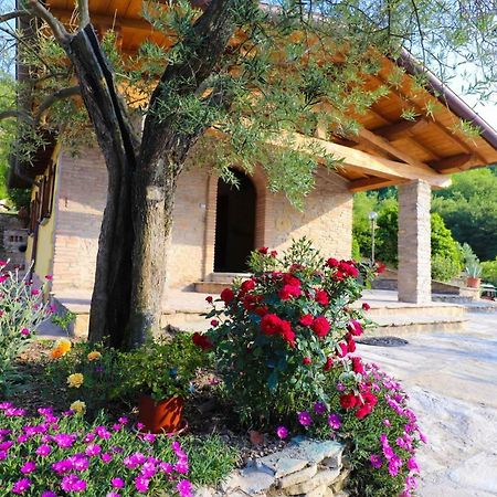 Città di Castello Agriturismo La Tana מראה חיצוני תמונה
